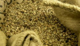 Are green coffee bean supplements worth all the hype?
