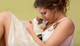 New study may yield cure for cat allergies