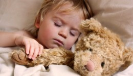 Toddlers’ internal body clocks set real bedtime