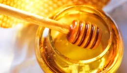 Honey: Sweet weapon to fight bacteria
