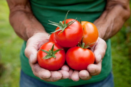 Can eating tomatoes lower risk of prostate cancer?