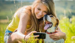 Pet therapy helps reduce anxiety for college students