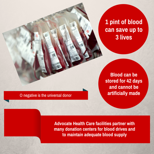 blood infographic 4