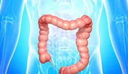 Colon cancer rates rising among young adults