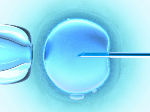 In vitro fertilization more successful than ever