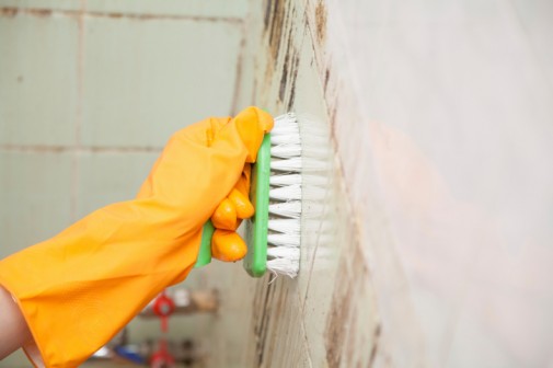 Cleaning with bleach increases risk of flu