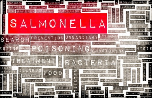 Infographic: 3 tips to prevent food poisoning