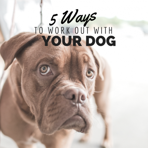 Infographic: 5 ways to workout with your dog