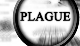 What you should know about bubonic plague