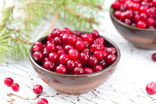 The health benefits of cranberries