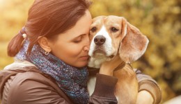 Are dogs able to read human emotions?