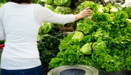 Leafy green vegetables fuel good digestive health