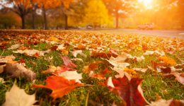6 tips to turn your autumn chore into an exercise opportunity