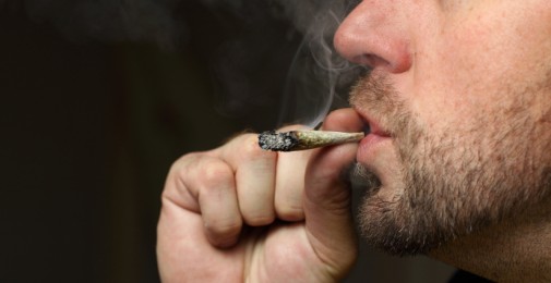 Fake pot poses serious health risks