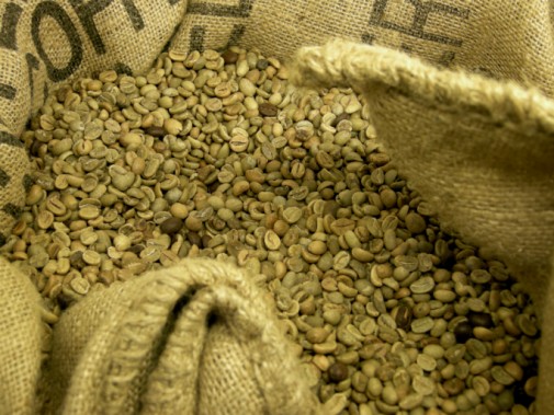 Are green coffee bean supplements worth all the hype?