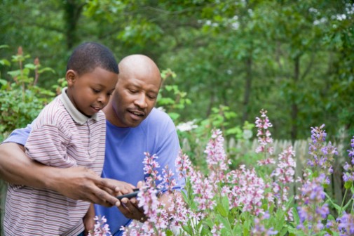 Can gardening be as good as exercise?