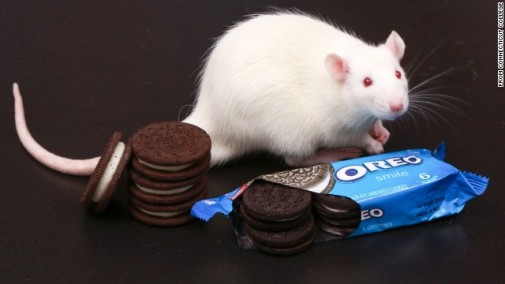 Oreos addictive as cocaine?