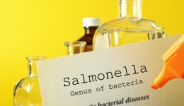 USDA launches salmonella action plan