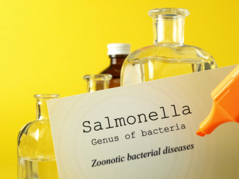 USDA launches salmonella action plan