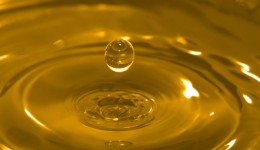 Corn oil trumps olive in lowering cholesterol