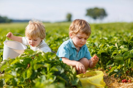 Healthy lifestyle begins during childhood