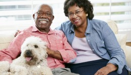How pets can boost owner’s health