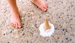 The Five Second Rule may be true