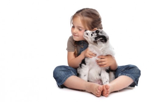 Fido may help autistic kids boost social skills