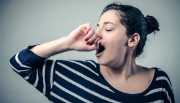 A hot brain causes yawning?