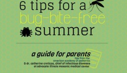 Infographic: 6 tips for a bug-bite-free summer