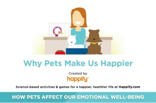 Infographic: How pets make us happier