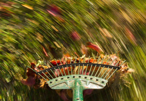 Is raking leaves risky for your heart?