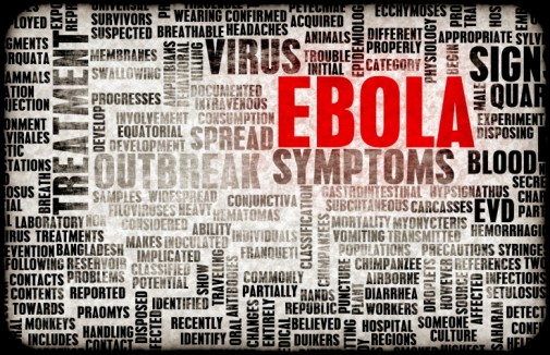 U.S. action increasing as Ebola threat grows
