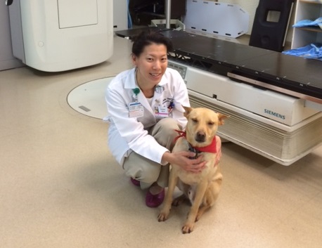 Therapy dogs helping patients with cancer