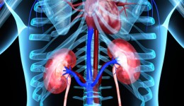 Can kidney stones lead to heart problems?