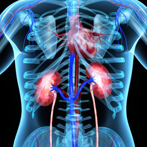 Can kidney stones lead to heart problems?