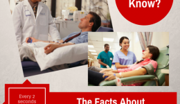 Infographic: Get the facts about blood donation