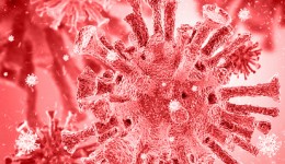 Scientists discover aggressive new strain of HIV