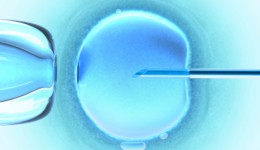 In vitro fertilization more successful than ever