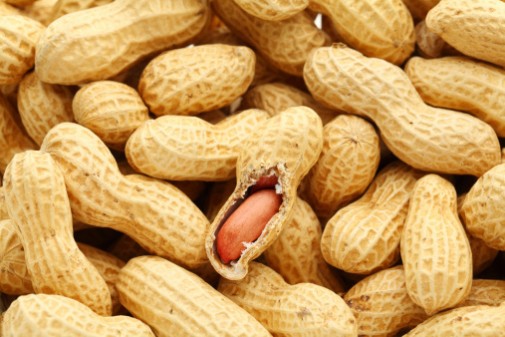 Whole peanuts dangerous for kids under 5
