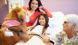 New pet therapy guidelines announced