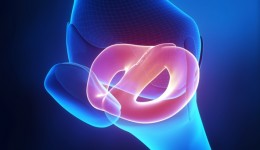 An expert’s take on Derrick Rose’s meniscus tear