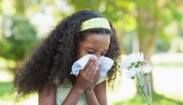 Pollution exposure increases risk of allergies in kids