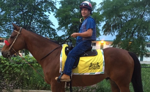 Hip replacement helps jockey get back in the saddle