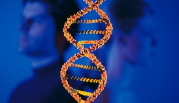 Hereditary colorectal cancers more common in young adults