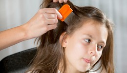 Some head lice are now resistant to treatments