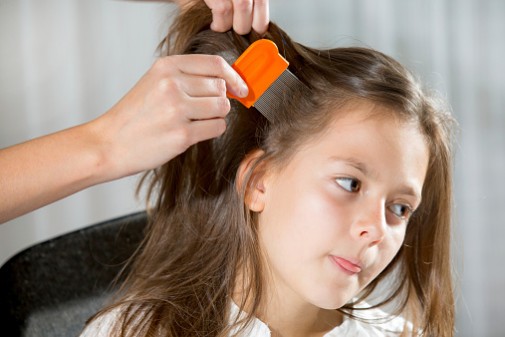 Some head lice are now resistant to treatments