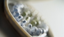 Male birth control pill could become a reality