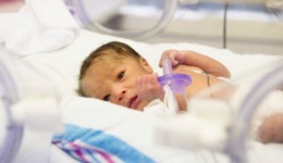 Premature births continue to decline in the U.S.