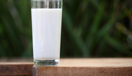 Will a glass of milk cure your insomnia?